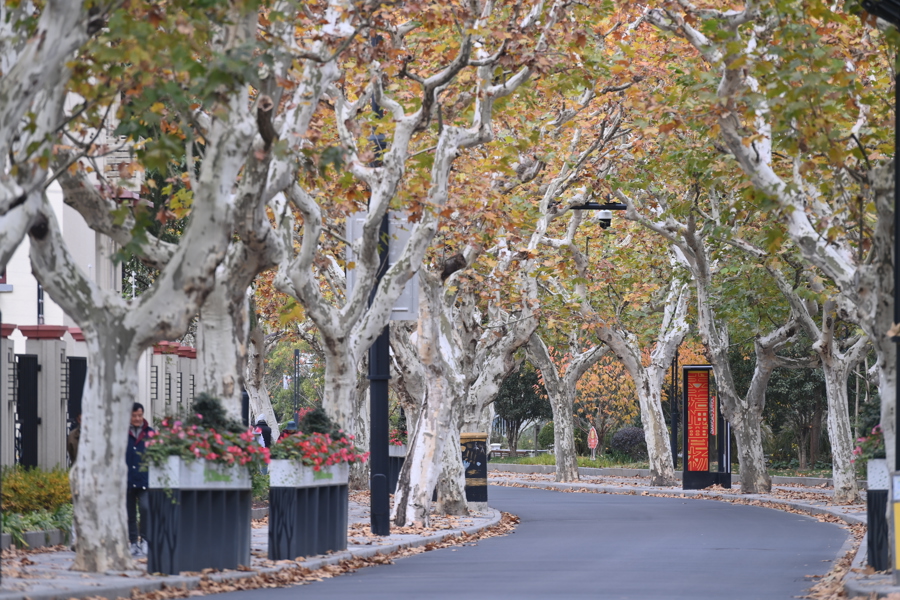 Where to check out Shanghai’s beautiful streets.